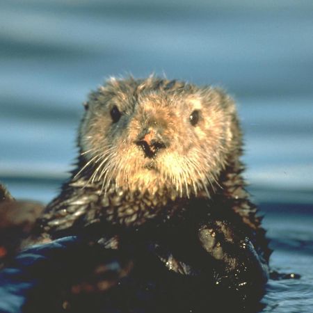 Monterey Bay Inn Eksteriør bilde