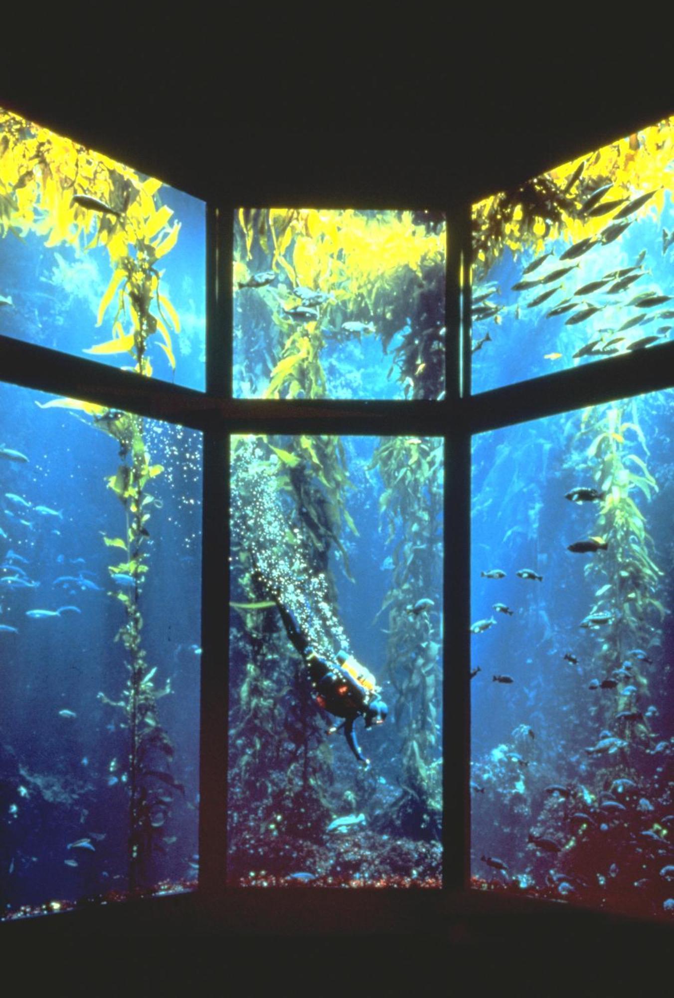 Monterey Bay Inn Eksteriør bilde